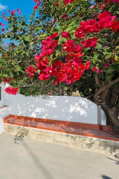 Greek Style Ground Floor Apartment & Pool Ialysos  Exterior photo