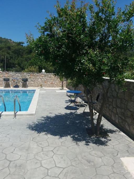 Greek Style Ground Floor Apartment & Pool Ialysos  Exterior photo